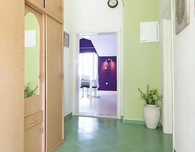 Blue Oyster Τρογκίρ